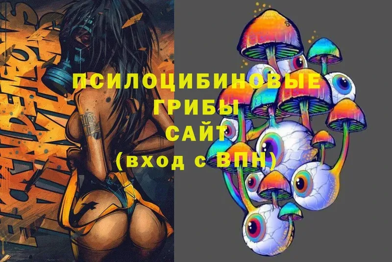 Галлюциногенные грибы MAGIC MUSHROOMS  Боготол 